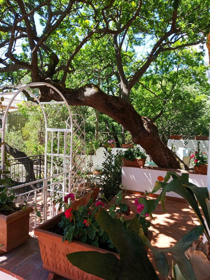 B&B La Casa Del Gelso อักกวาเฟรดดา ภายนอก รูปภาพ
