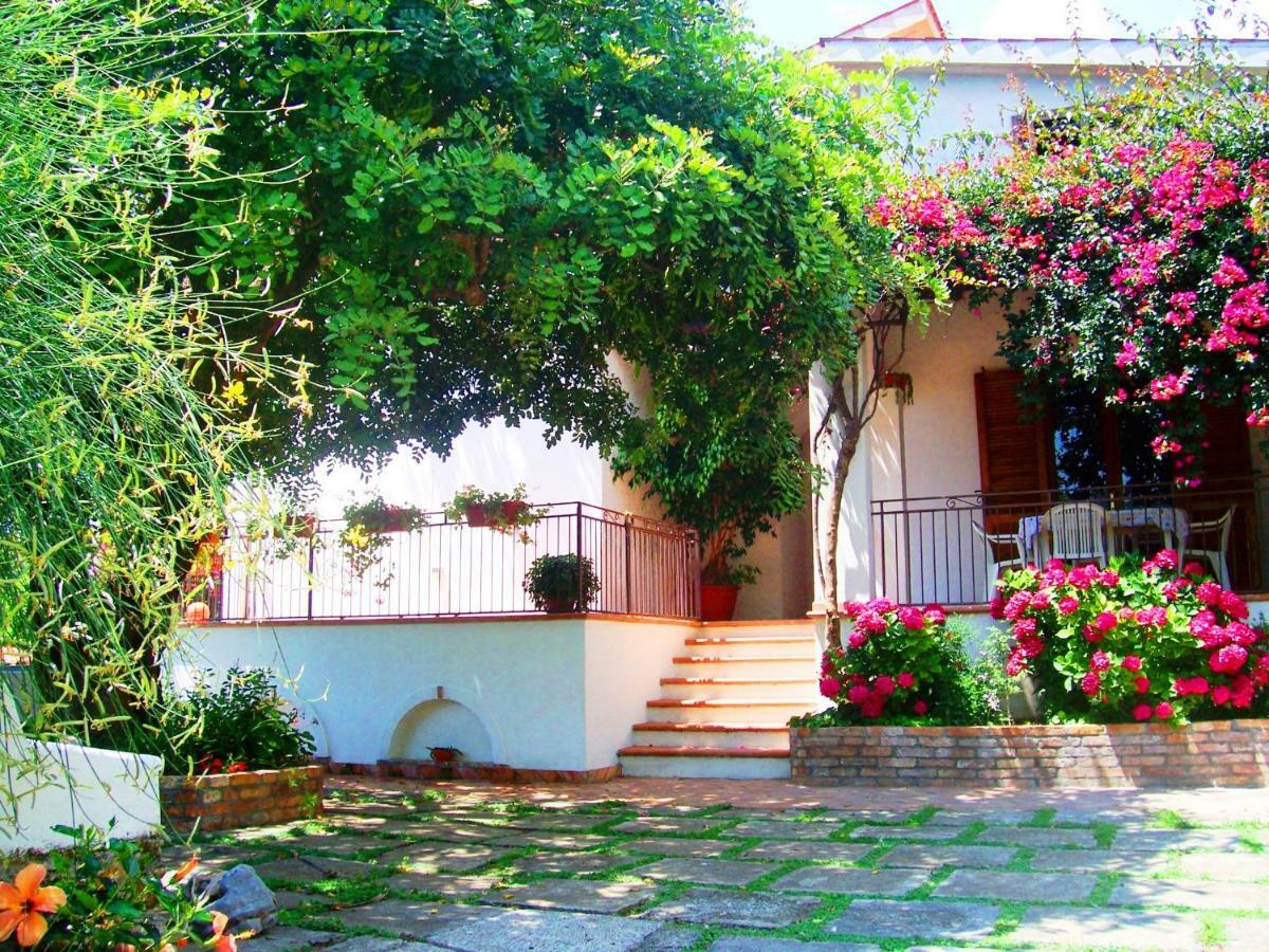 B&B La Casa Del Gelso อักกวาเฟรดดา ภายนอก รูปภาพ