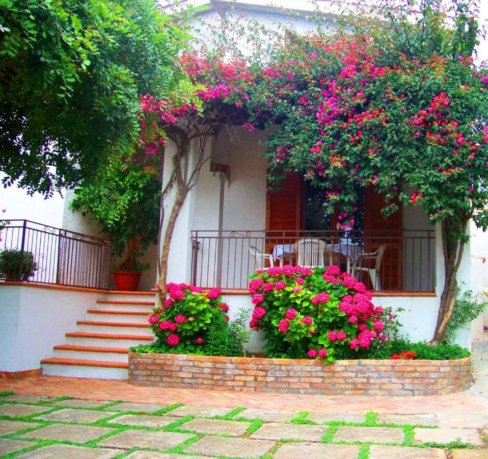 B&B La Casa Del Gelso อักกวาเฟรดดา ภายนอก รูปภาพ