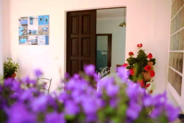 B&B La Casa Del Gelso อักกวาเฟรดดา ภายนอก รูปภาพ
