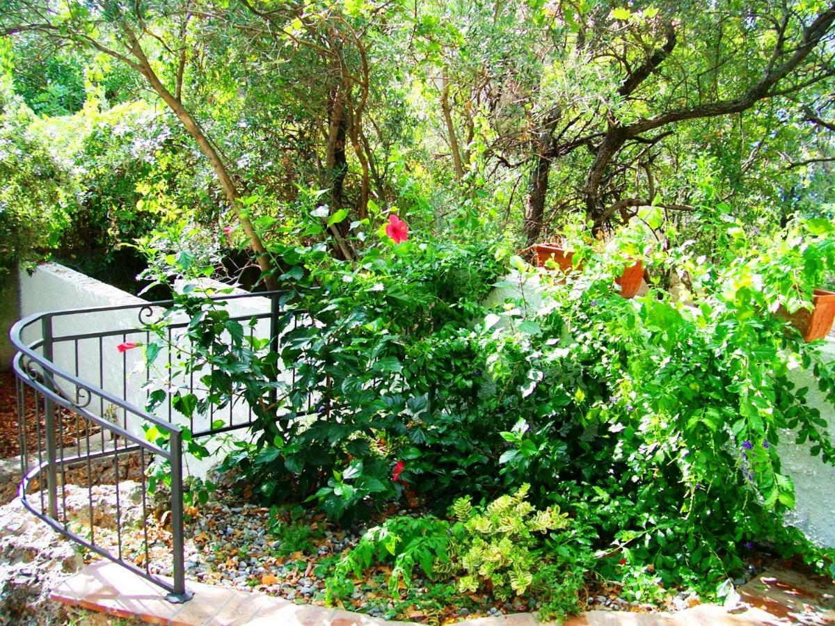 B&B La Casa Del Gelso อักกวาเฟรดดา ภายนอก รูปภาพ