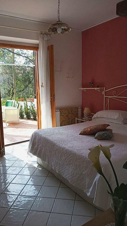 B&B La Casa Del Gelso อักกวาเฟรดดา ภายนอก รูปภาพ