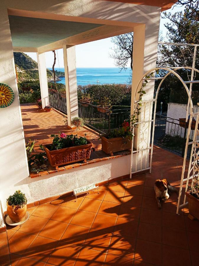 B&B La Casa Del Gelso อักกวาเฟรดดา ภายนอก รูปภาพ